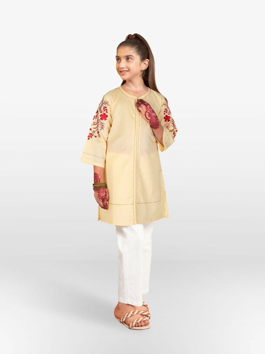 Light Beige Velvour Girls Embroidred Co-ord Set-VG105-B