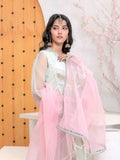Mint Green-Ruby's Couture Organza Embroidered Stitched 4-Piece Suit-Tara