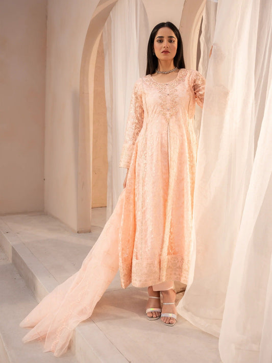 Peach Manahil Arts Net Embellished Stitched 3-Piece Suit-N1-Peach