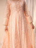 Peach Manahil Arts Net Embellished Stitched 3-Piece Suit-N1-Peach