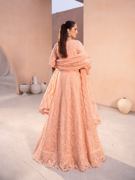Peach-Manahil Arts Net Embellished Lehenga Set-L-004-Peach