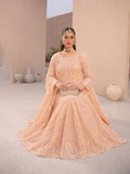 Peach-Manahil Arts Net Embellished Lehenga Set-L-004-Peach