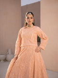 Peach-Manahil Arts Net Embellished Lehenga Set-L-004-Peach