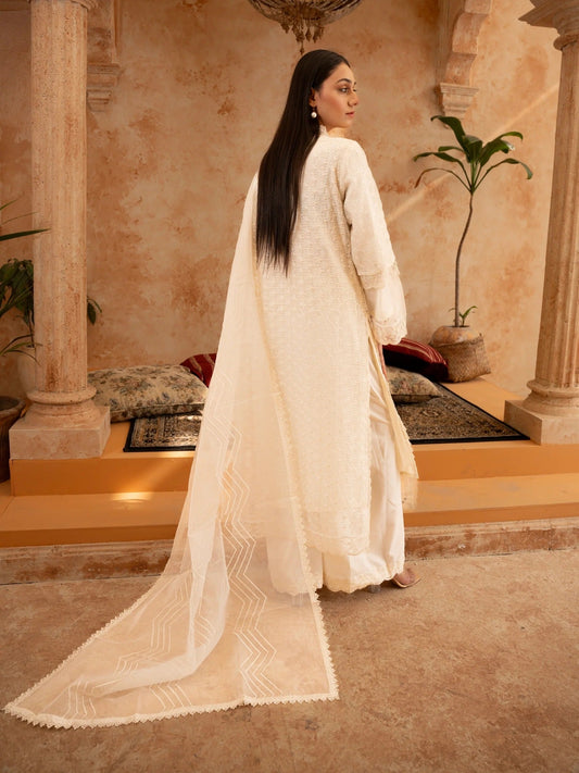 Manahil Arts Organza Embellished Stitched 4-Piece Suit-Style code :181-Off White