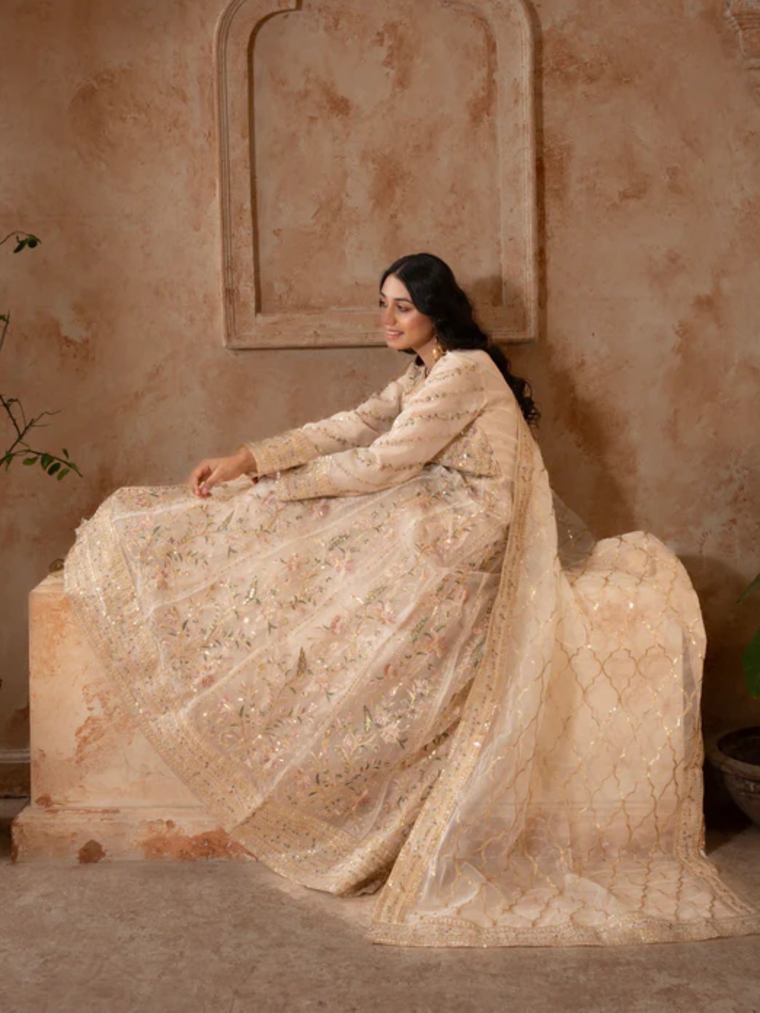 Beige Manahil Arts Organza Embellished Maxi-024-Beige