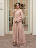 Peach Manahil Arts Chiffon Embellished Maxi-K-169-Peach