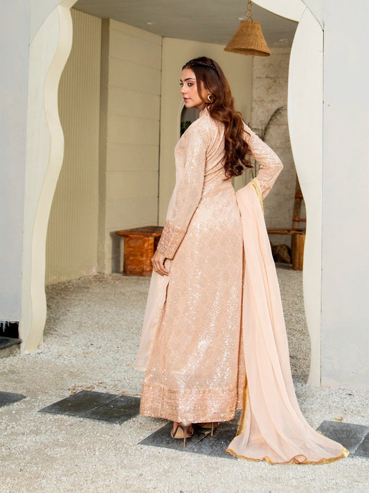 Peach Manahil Arts Chiffon Embellished Maxi-K-147-Peach