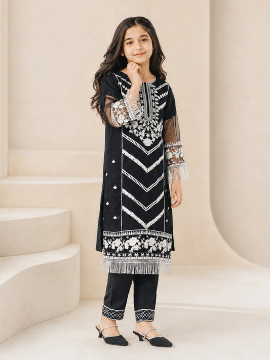 Black Lumira Organza Embroidered Stitched 2-Piece Suit-Abeer Black