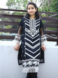 Black Lumira Organza Embroidered Stitched 2-Piece Suit-Abeer Black