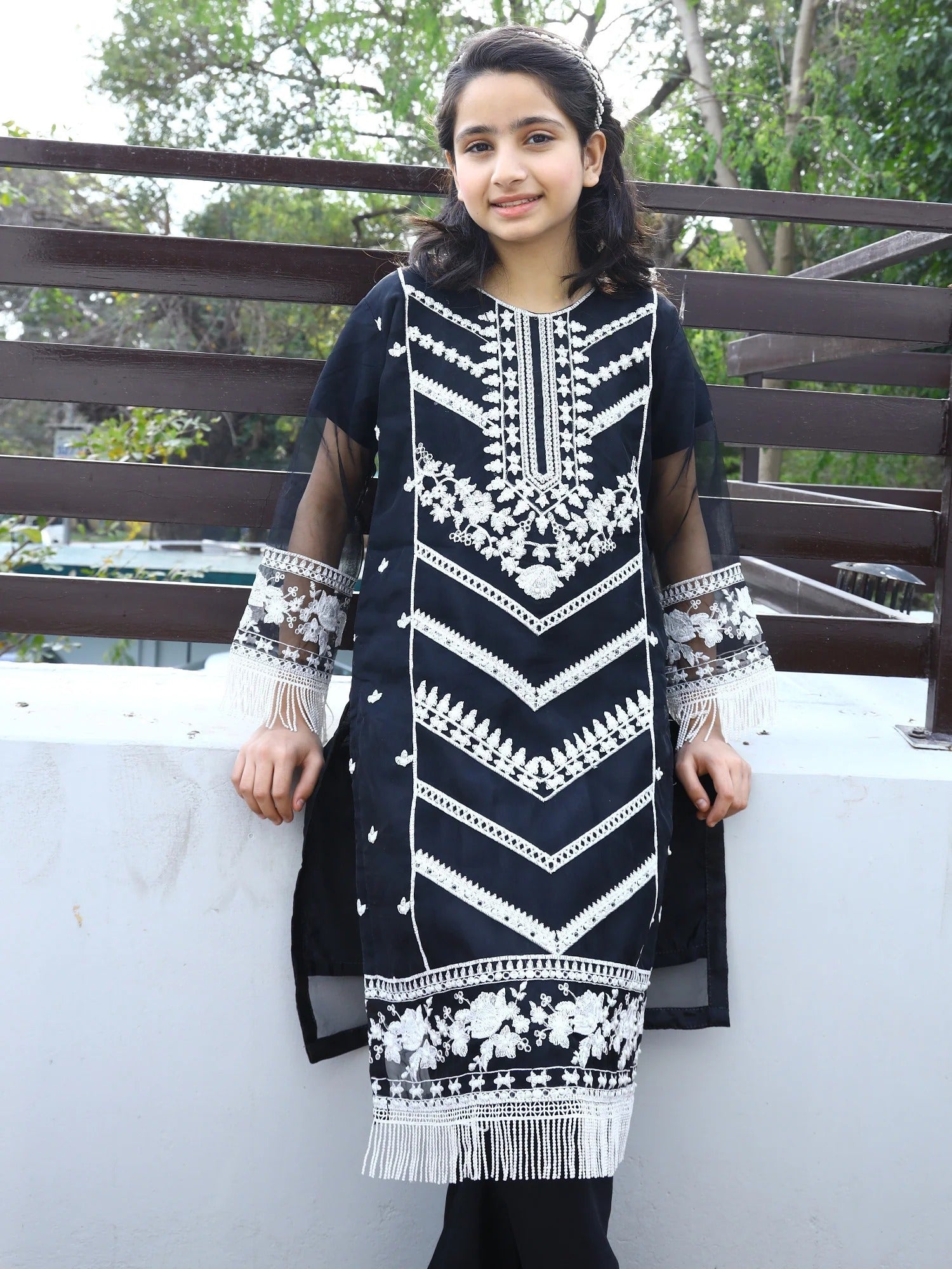 Black Lumira Organza Embroidered Stitched 2-Piece Suit-Abeer Black