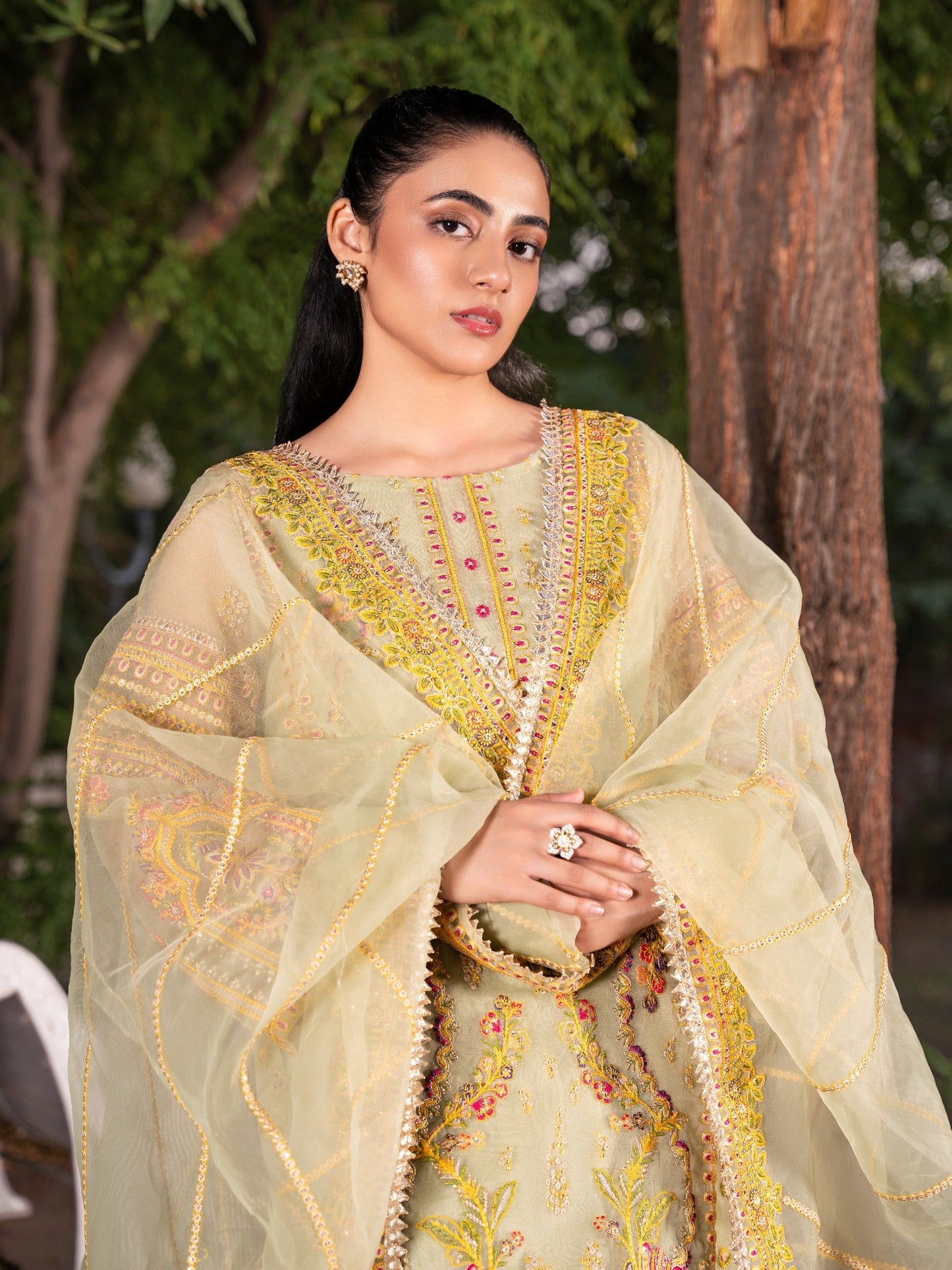 Beige HEM Organza Embroidered Stitched 4-Piece Suit-Madhubala