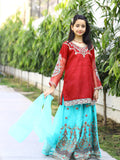 Red and Blue-Lumira Organza Embroidered Lehenga-Amber