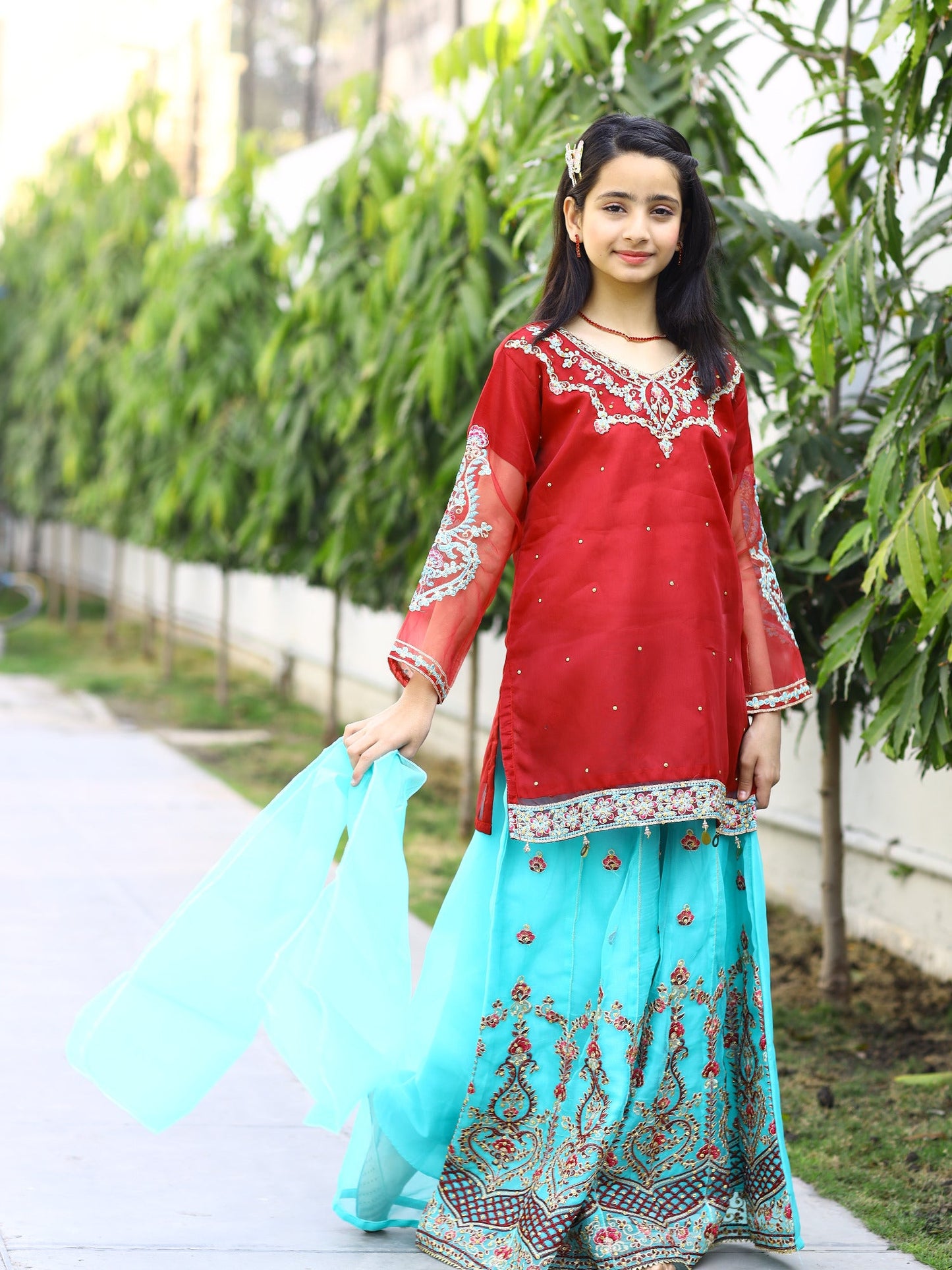 Red and Blue-Lumira Organza Embroidered Lehenga-Amber