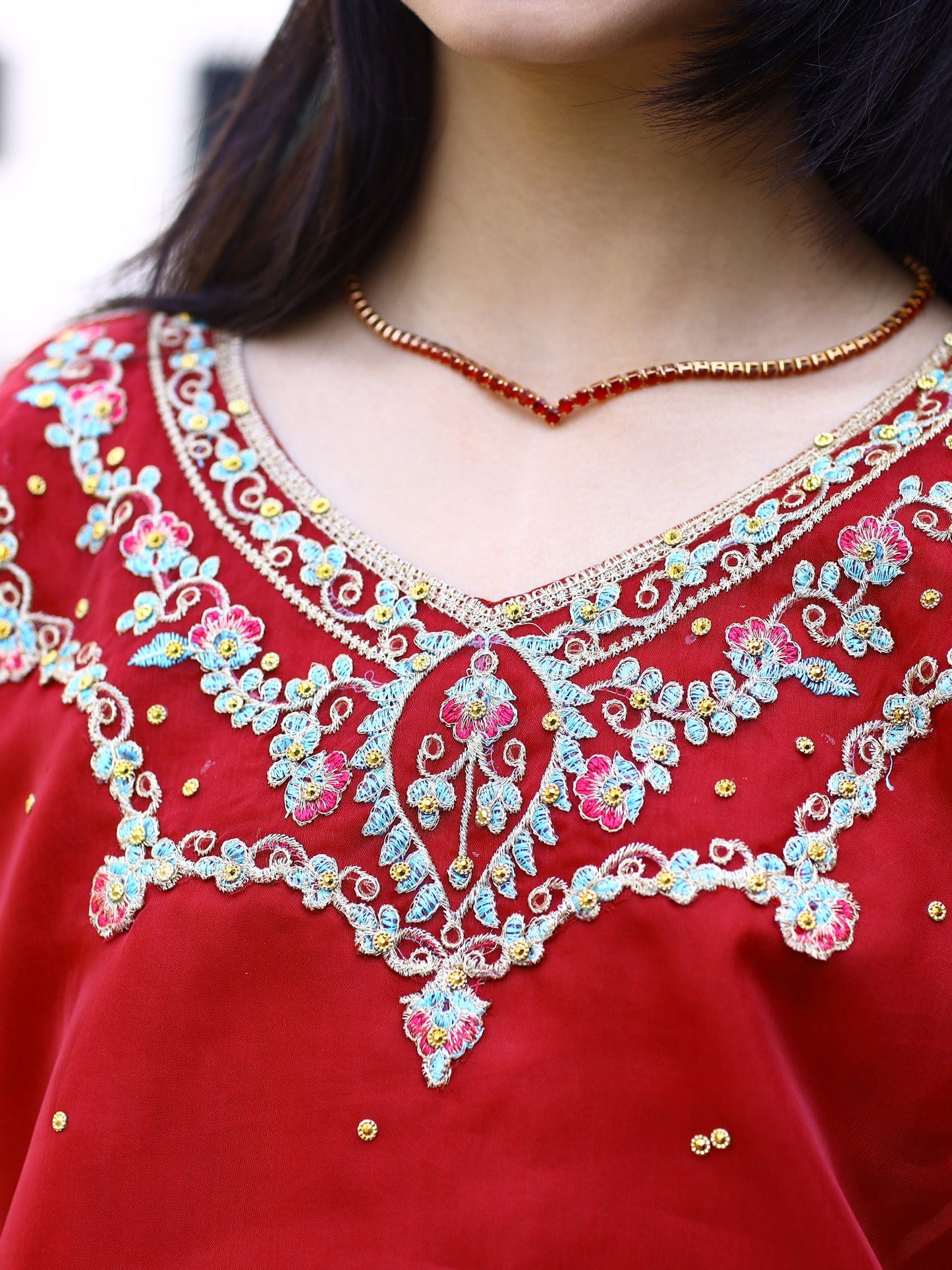 Red and Blue-Lumira Organza Embroidered Lehenga-Amber