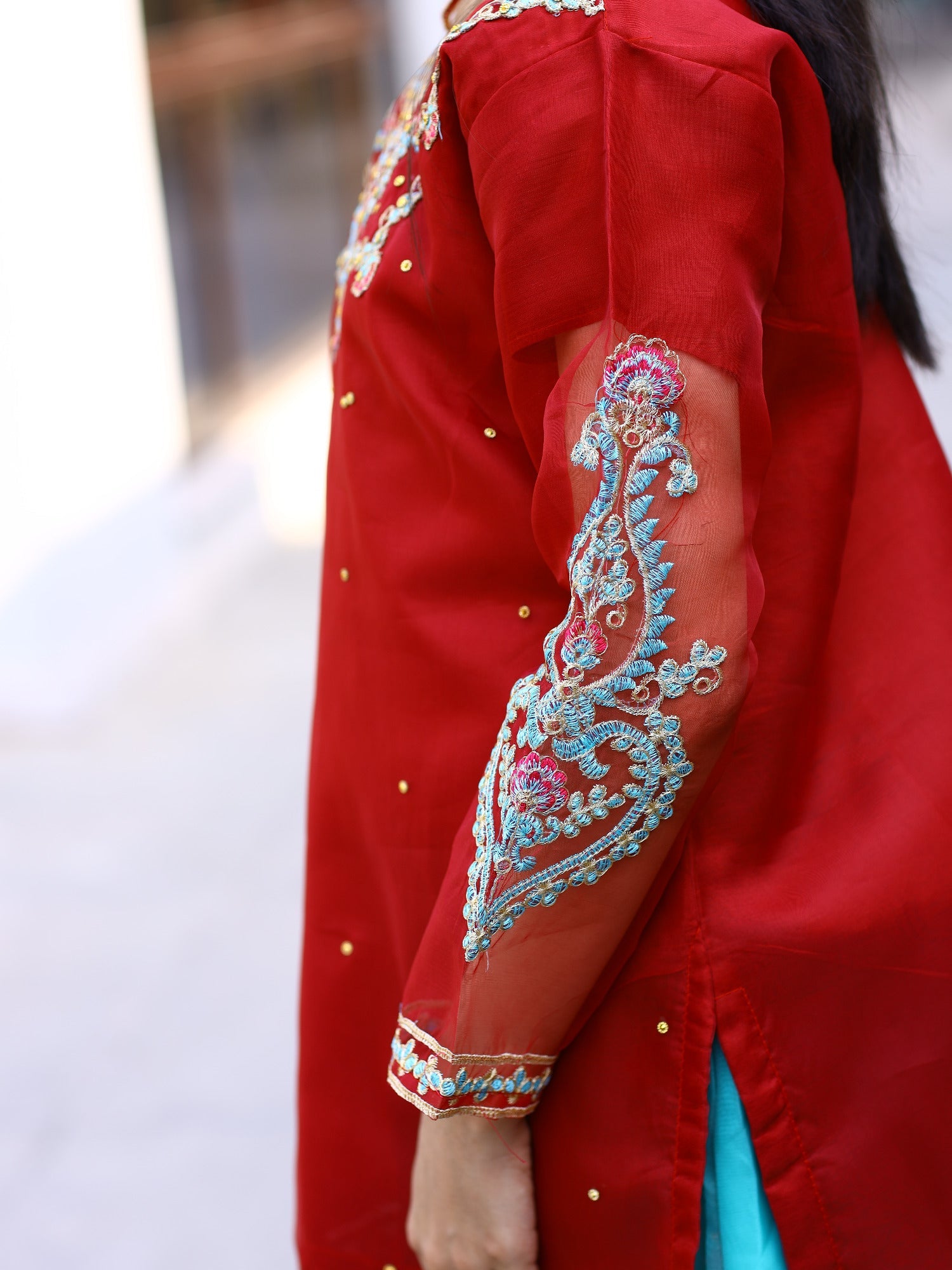 Red and Blue-Lumira Organza Embroidered Lehenga-Amber