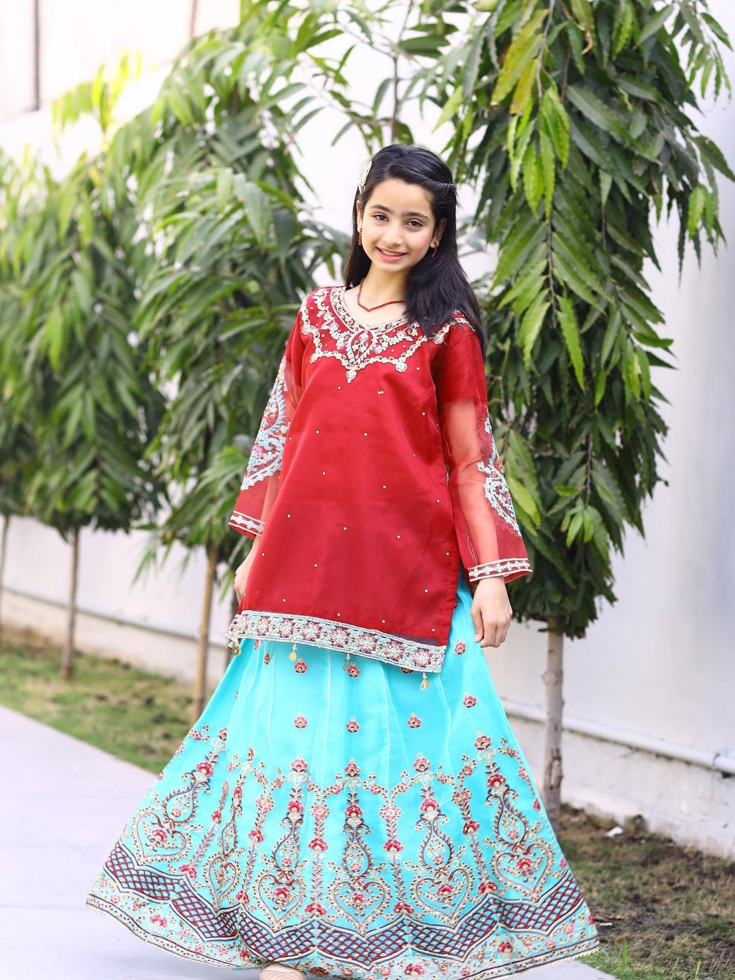 Red and Blue-Lumira Organza Embroidered Lehenga-Amber