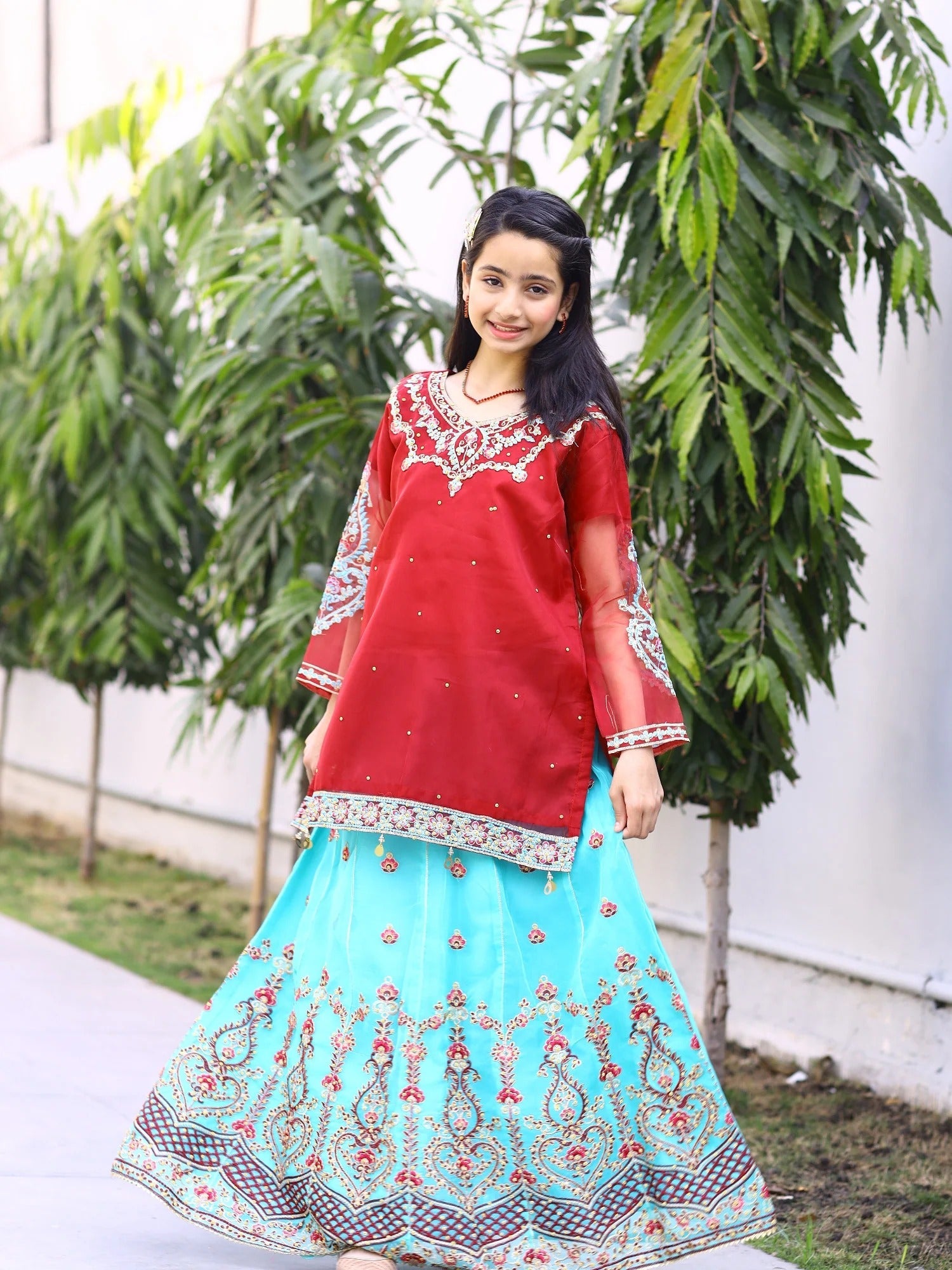 Red and Blue-Lumira Organza Embroidered Lehenga-Amber