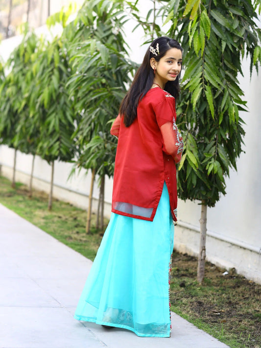 Red and Blue-Lumira Organza Embroidered Lehenga-Amber