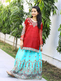 Red and Blue-Lumira Organza Embroidered Lehenga-Amber