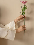 Cream Stylish Collection Vesper Linen Embroidered Stitched 2-Piece Suit-Tulip