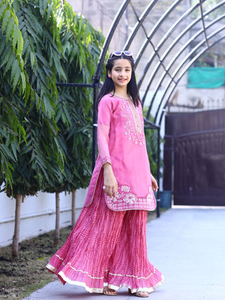 Hot Pink Lumira Organza Embroidered Lumira Organza Embroidered Sharara Saba Saba
