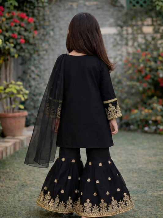 Black-Lumira Chiffon Embroidered Gharara-Elan