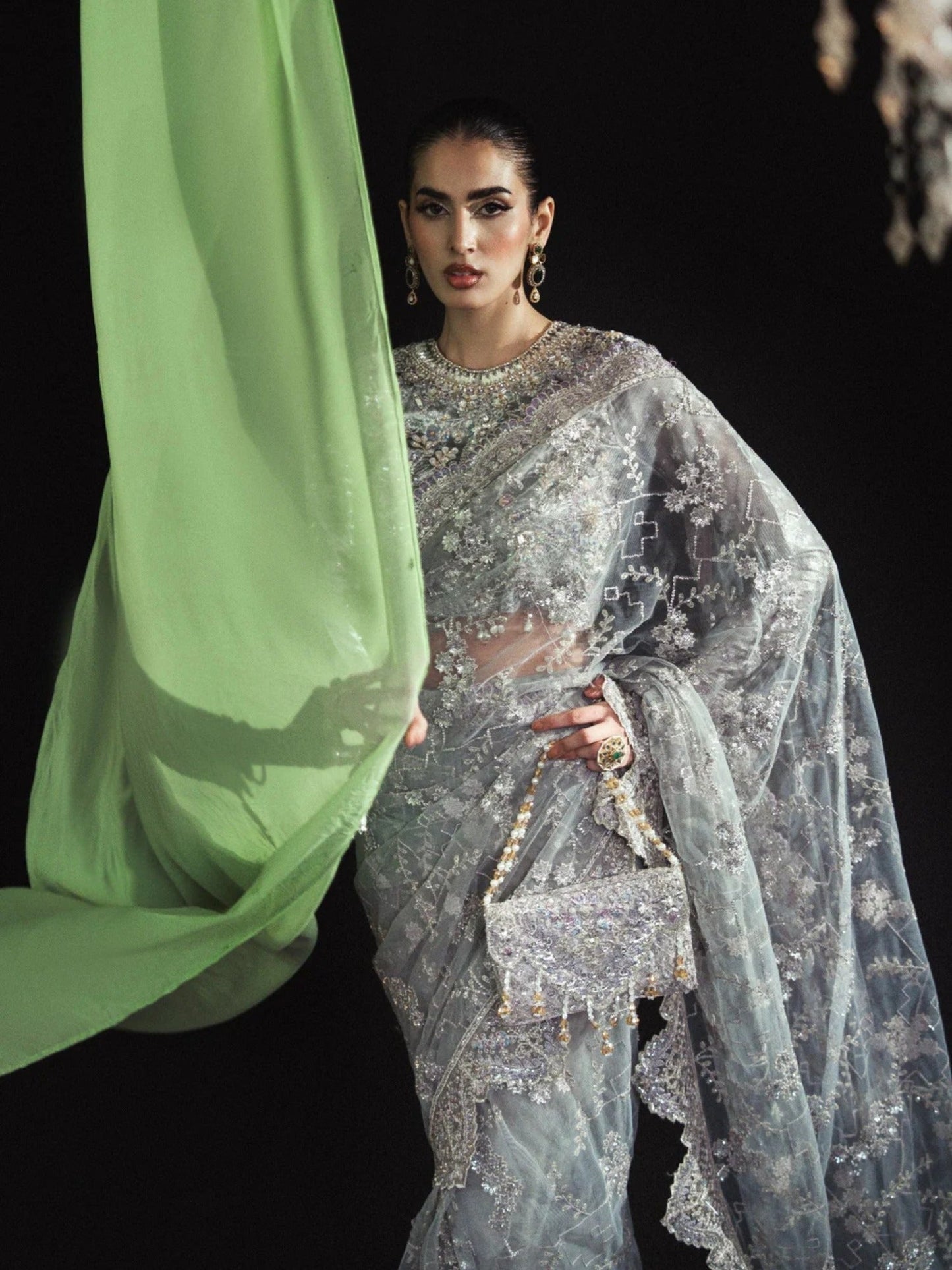 Silver Sara Jahan Net Embroidered Saree-AD-006