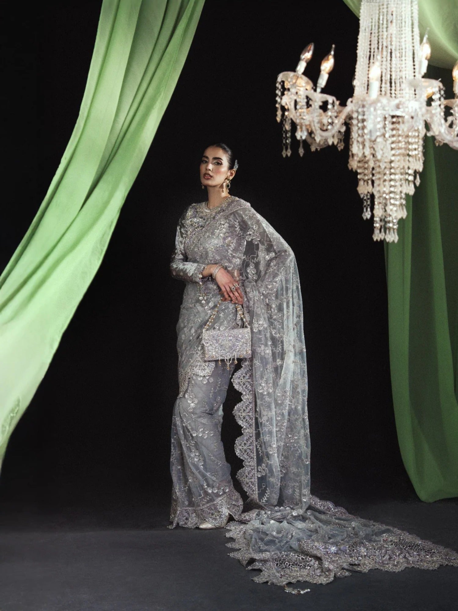 Silver Sara Jahan Net Embroidered Saree-AD-006