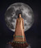 Sara Jahan Silk Embroidered Lehenga Set-AD-003