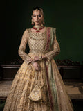 Golden Sara Jahan Net Embellished Maxi-Zayra