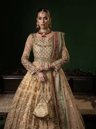 Golden Sara Jahan Net Embellished Maxi Zayra