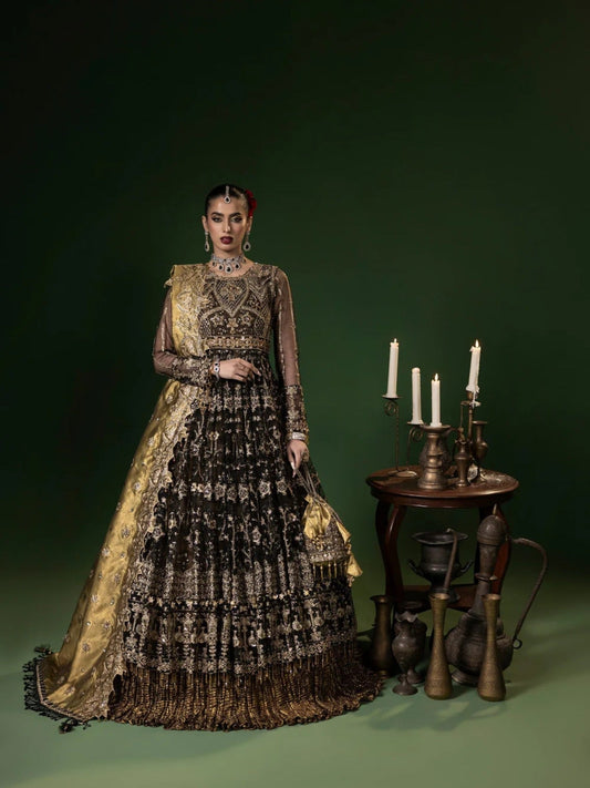 Black Sara Jahan Net Embellished Maxi-Mahru