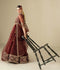 Hani & Umaima Organza Embroidered Lehenga-Mah e Gull