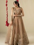 Golden Hani & Umaima Organza Embroidered Lehenga-Gul e Zenat