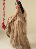 Golden Hani & Umaima Organza Embroidered Lehenga-Gul e Zenat