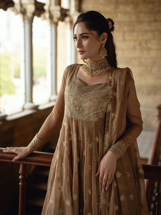Hani & Umaima Chiffon Embroidered Stitched 2 Piece Suit Daze