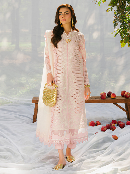 Elegant borer embroidered lawn suit with dual sleeve motifs, organza trouser lace, and detailed dupatta.