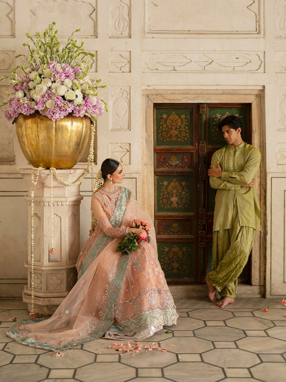 Parishay Ranibagh Luxury Formals Organza Embroidered Stitched 3-Piece Suit-Roshanara