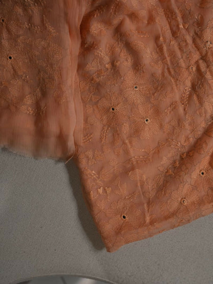 AB Hand Embroideries Chiffon Embroidered Unstitched 2-Piece Suit