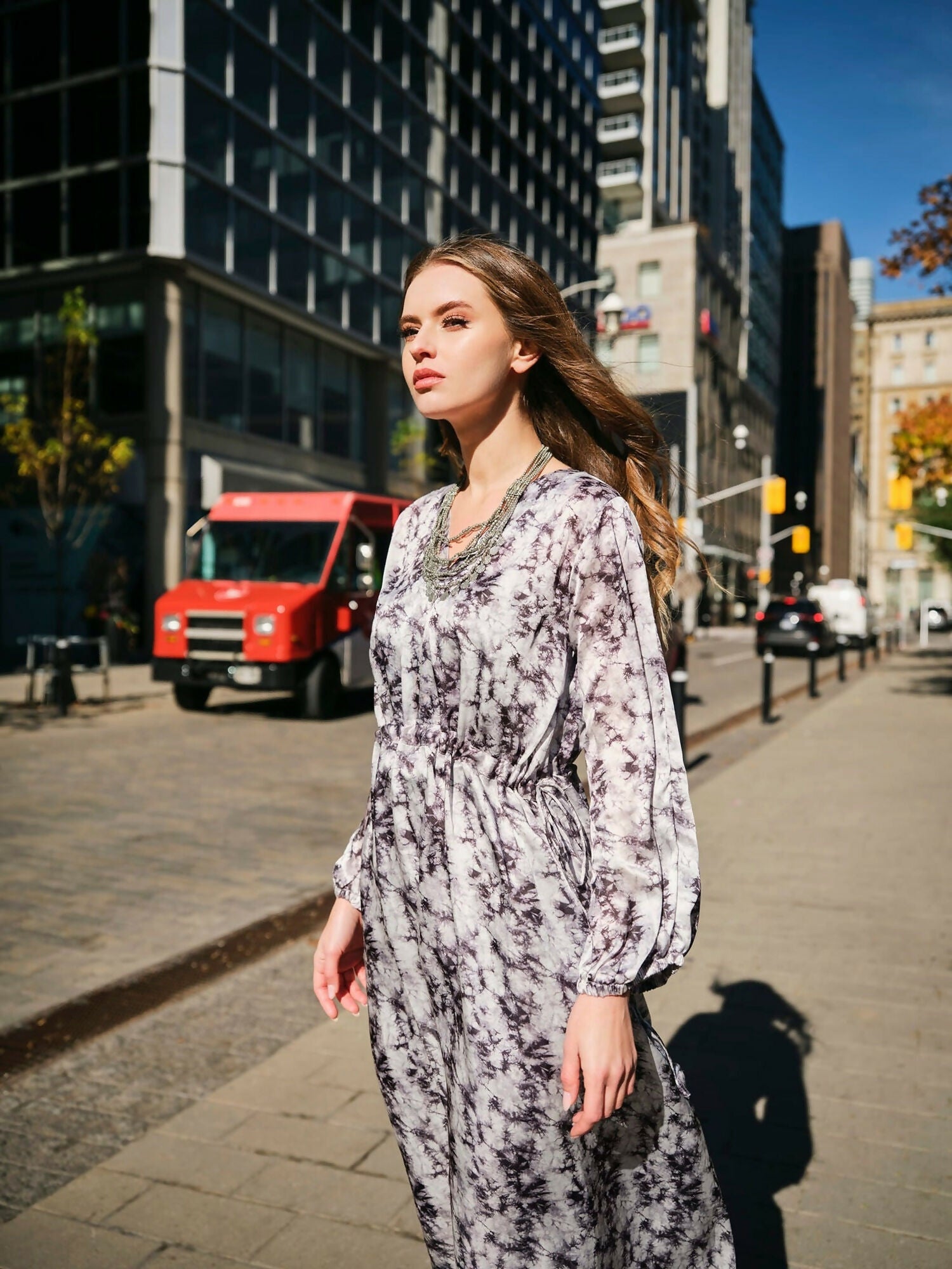 Panache Apparel Silk Printed Dress-Maze