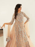 Shiza Hassan Aurora Formals Net Embellished Stitched 2-Piece Suit-Florian