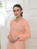 Ruby's Couture Basic Element '25 Georgette Embellished Dress Set-Cinnabar