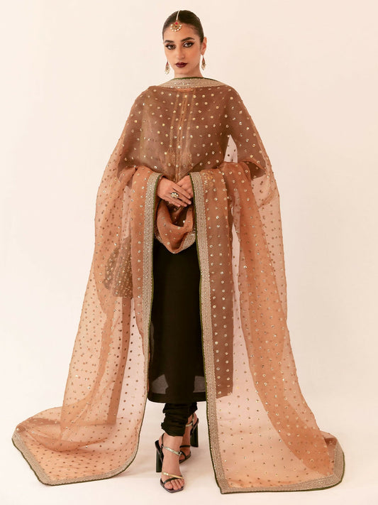 Hussain Rehar black raw silk shirt with chooridaar and beige organza dupatta