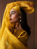 Hussain Rehar Luxury Pret Eid'24 Raw Silk Embellished Stitched 3-Piece Suit-Maize