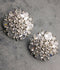 H&A Jewellery One Carat Silver-Plated with Stone Earring