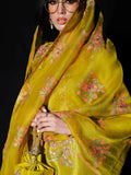 Hussain Rehar Basic Not Basic IV Raw Silk Embellished Stitched 3-Piece Suit-Sheen