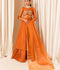 Allure By IH Luxe Formals Organza Embellished Lehenga-Coco