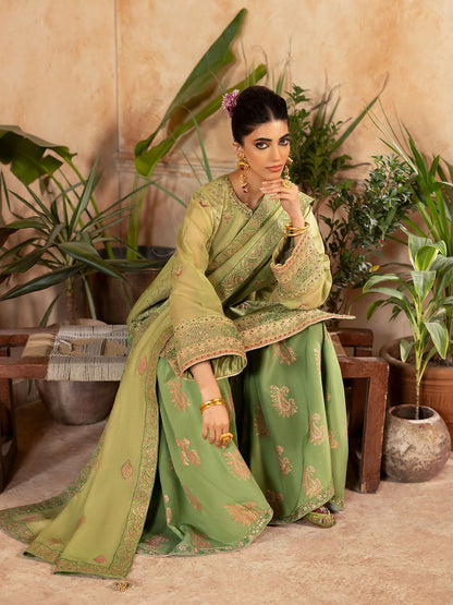 Shurooq Kanpur 1912 Net Embellished Gharara-Moti Mahal