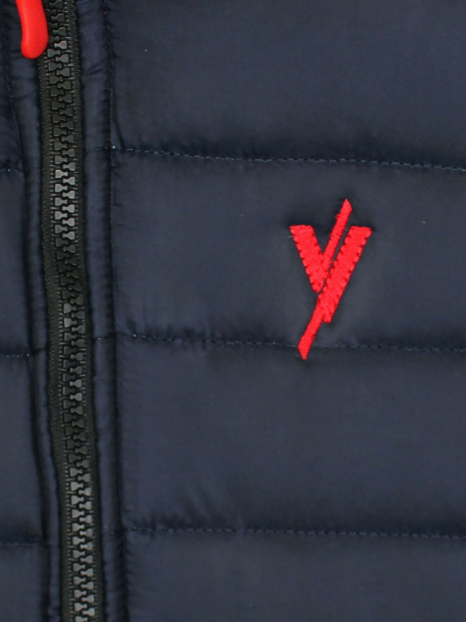 msyXho2ZDe