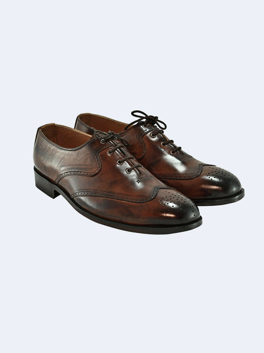 Shazif Regal Oxford Brogue shoes in brown with classic wingtip perforations and lace-up design